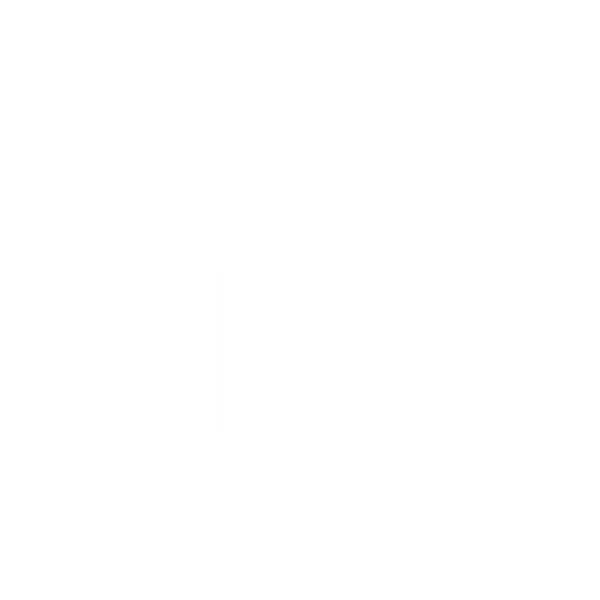 IFF: connectiviteit als basis