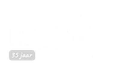 Rst zorg 4